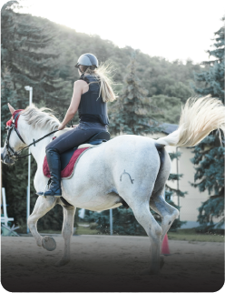 horse-riding Image