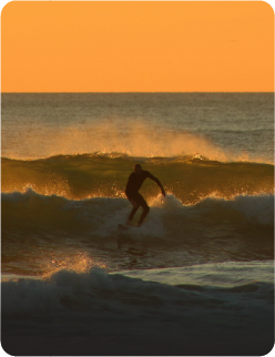 surfing Image